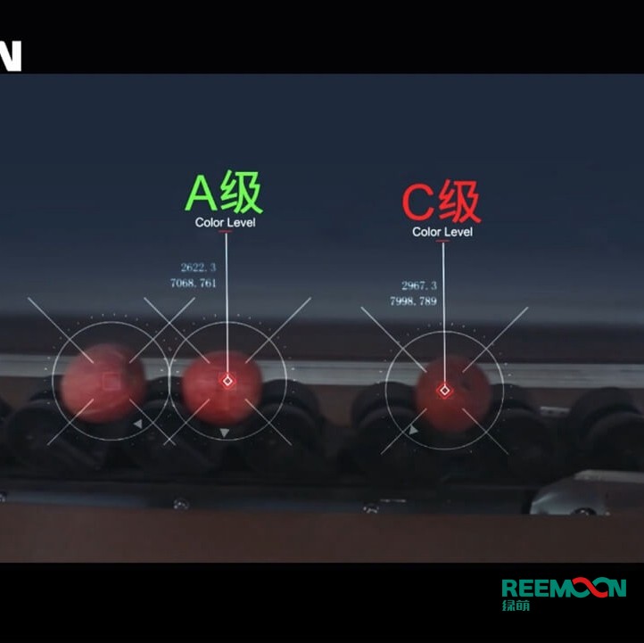 綠萌水果分選機(jī)多少錢？江西綠萌科技控股有限公司廠家直銷報價