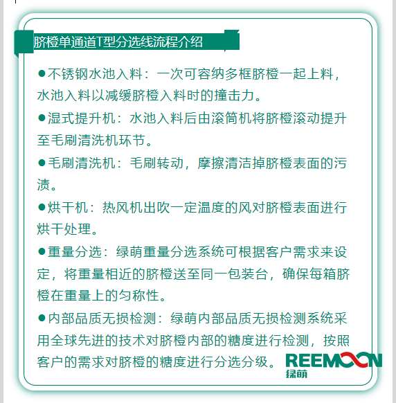 今年綠萌推出T型系列設備，專為中國果農(nóng)研制的高性價比的設備，具有功能齊全、小型輕便可移動、操作簡單、易維護的優(yōu)點。臍橙單通道分選線確保每箱分選過的臍橙個頭勻稱、糖酸度相近，有著穩(wěn)定的品質(zhì)，讓非標準的農(nóng)產(chǎn)品標準化。該分選線專門為中國小戶果農(nóng)定制，為客戶實地考察，根據(jù)客戶需求全流程設計，