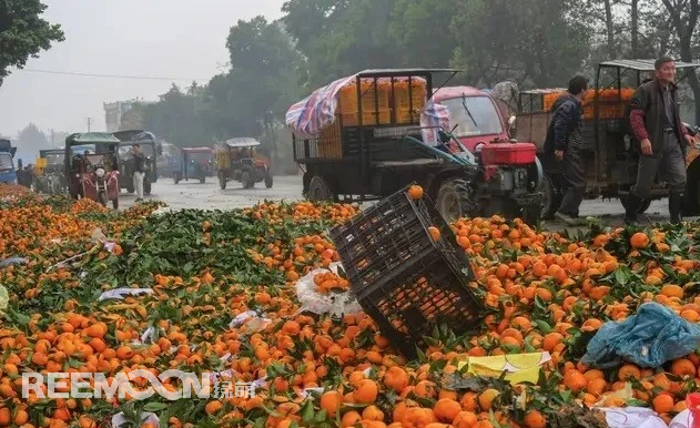 中國(guó)是果業(yè)大國(guó)，水果種植面積和產(chǎn)量近年來(lái)一直穩(wěn)居世界第一。隨著消費(fèi)水平的提高，中國(guó)果業(yè)發(fā)展迅速，成為資本進(jìn)入的重要領(lǐng)域，許多人紛紛跨界轉(zhuǎn)入了農(nóng)業(yè)，盡管大量的資金和人才進(jìn)入，但仍未能改變現(xiàn)狀:中國(guó)果業(yè)當(dāng)前面臨的主要問(wèn)題仍是“產(chǎn)能過(guò)剩，質(zhì)量不高”。那么，中國(guó)果業(yè)目前處于什么狀況?世界果業(yè)的發(fā)展如何，進(jìn)入水