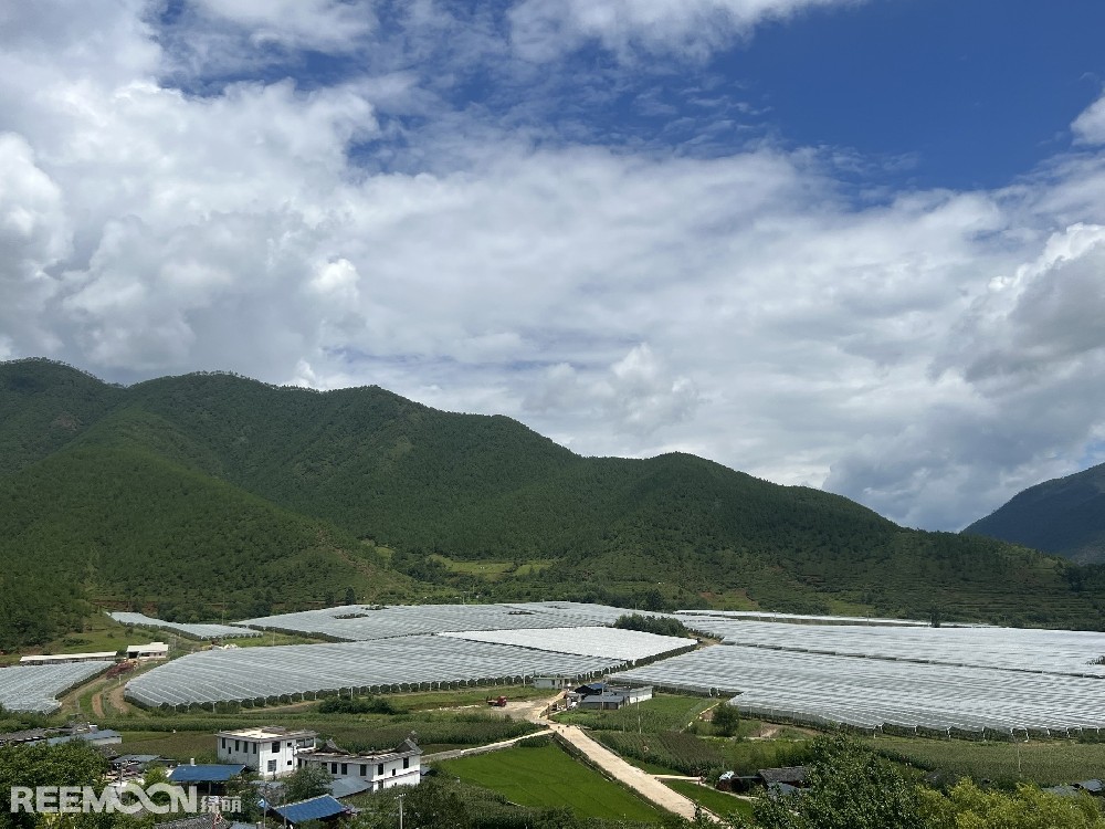 麗江市蘋果種植主產(chǎn)區(qū)海拔2400-2700米，良好的立體環(huán)境條件造就了麗江蘋果糖度高、果肉緊密、硬度高、無污染的品質(zhì)特點(diǎn)。2019年，在全國(guó)種植產(chǎn)區(qū)的甄選中，鑫榮懋選定了云南省麗江市蘋果優(yōu)勢(shì)產(chǎn)區(qū)作為未來蘋果種植項(xiàng)目的實(shí)施地，目前已種植新西蘭引進(jìn)的優(yōu)良蘋果品種。鑫榮懋以新品種、新技術(shù)及高品質(zhì)為發(fā)展蘋果種植的新契機(jī)，